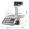 Metra, TMA 2015 - Pole Type - 30 kg / 10g - Retail, Price Computing & Label Printing Scale - Image 2