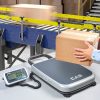 CAS PB - Portable Platform Bench Scale - 60 Kg, 200 Kg - Image 3