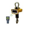 SENS SW Series - Heavy Duty Crane Scale - Image 3