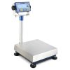 Dini Argeo DFWL series- Platform Bench Scale