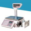 Metra, TMA 2015 - Pole Type - 30 kg / 10g - Retail, Price Computing & Label Printing Scale - Image 3