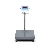 ADE M320000-01 - Approved electronic BMI column weight and height scale  Supplier in Dubai, Abu Dhabi, Sharjah - Petra - UAE Weighing Equipment  Division