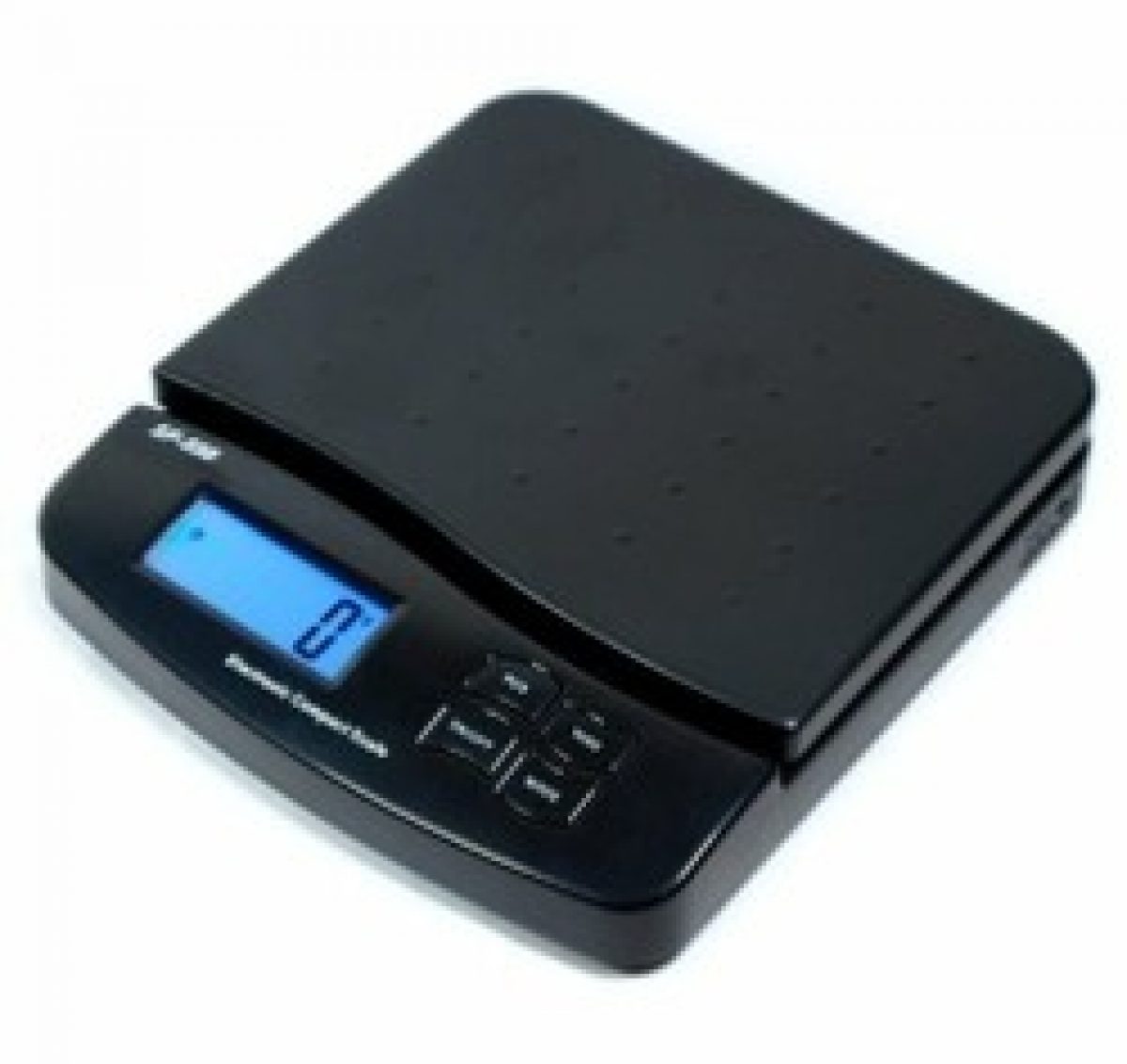 FORM-550 Capacity Digital Bathroom Scale